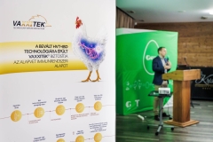 Gallus_Ajka_050