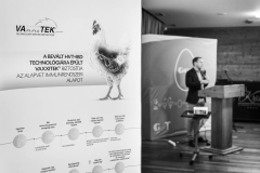 Gallus_Ajka_051