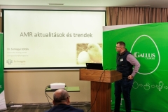 Gallus_Ajka_056