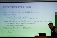 Gallus_Ajka_063