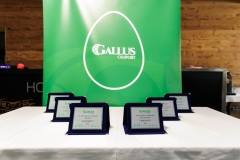 Gallus_Ajka_155